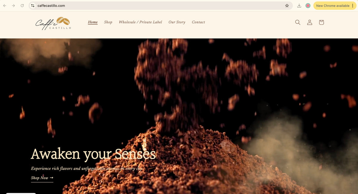 Web Design & Development